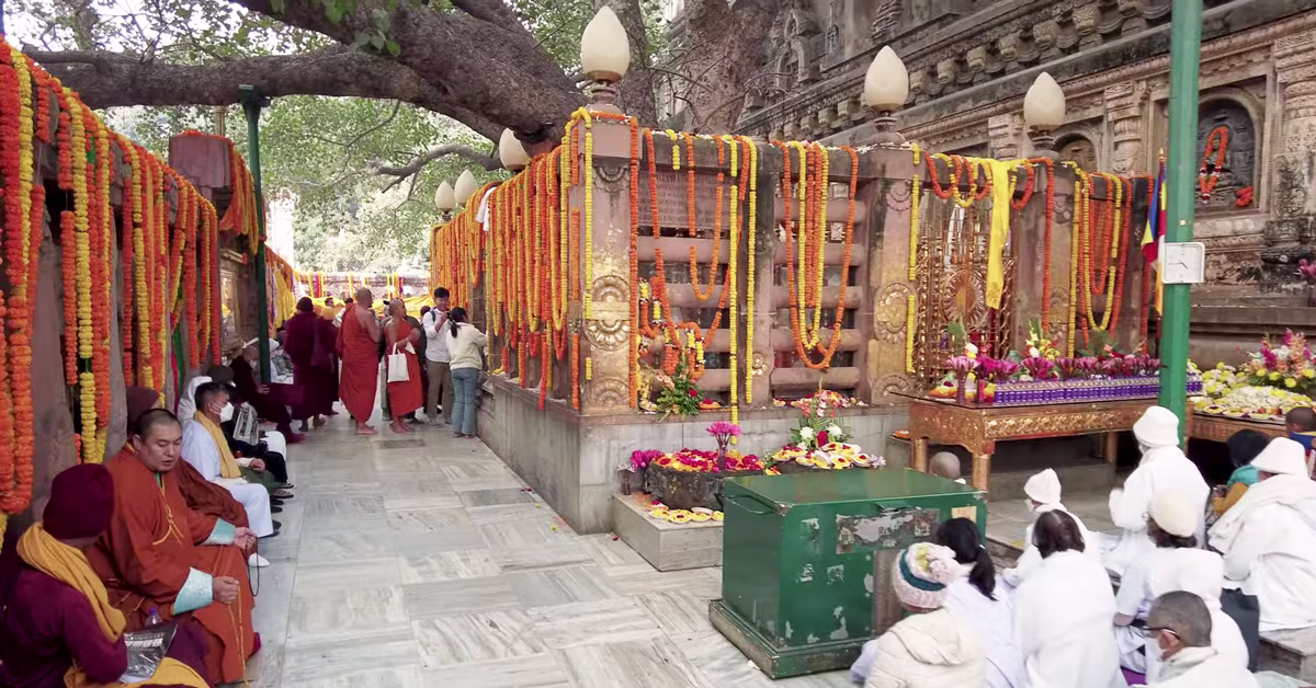 Bodh Gaya - Bodhi Tree